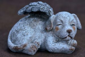 Family gathers around a table with a pet urn, framed photographs, collar, and favorite toy.