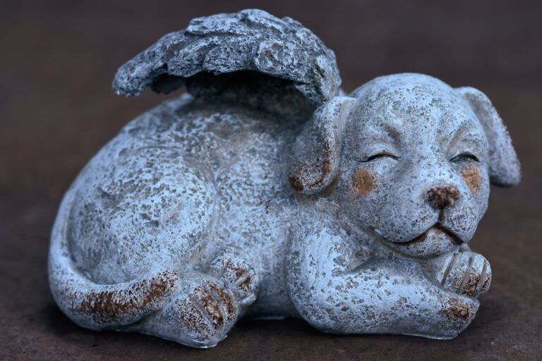 Family gathers around a table with a pet urn, framed photographs, collar, and favorite toy.